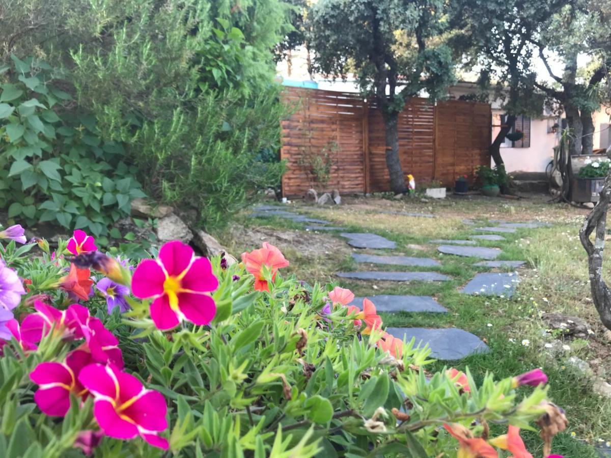 Cabana Jara Y Enebro Collado Villalba Kültér fotó