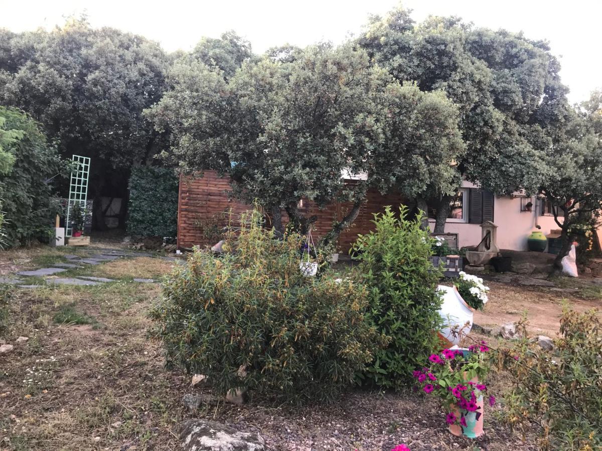 Cabana Jara Y Enebro Collado Villalba Kültér fotó