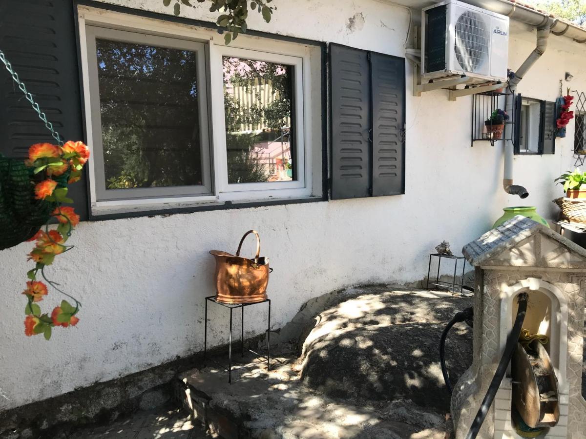Cabana Jara Y Enebro Collado Villalba Kültér fotó